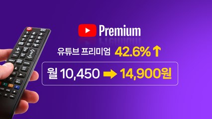 넷플릭스·유튜브 가격 인상에 '디지털 이민자'까지..."한국은 잡은 물고기?" [앵커리포트] / YTN