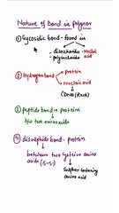 Different Types of Bonds in Biomolecules 🧬 - thumbnail