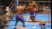 George Foreman Vs Alex Stewart - boxing - heavyweights