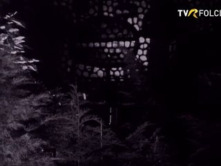 Stefania Rares - Ionel, sprancene negre (arhiva TVR)