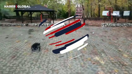 Şaşkın kedi ile dronun ilginç görüntüleri gülümsetti