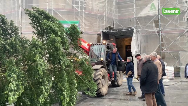 Un sapin spectaculaire pour la collégiale de Nivelles