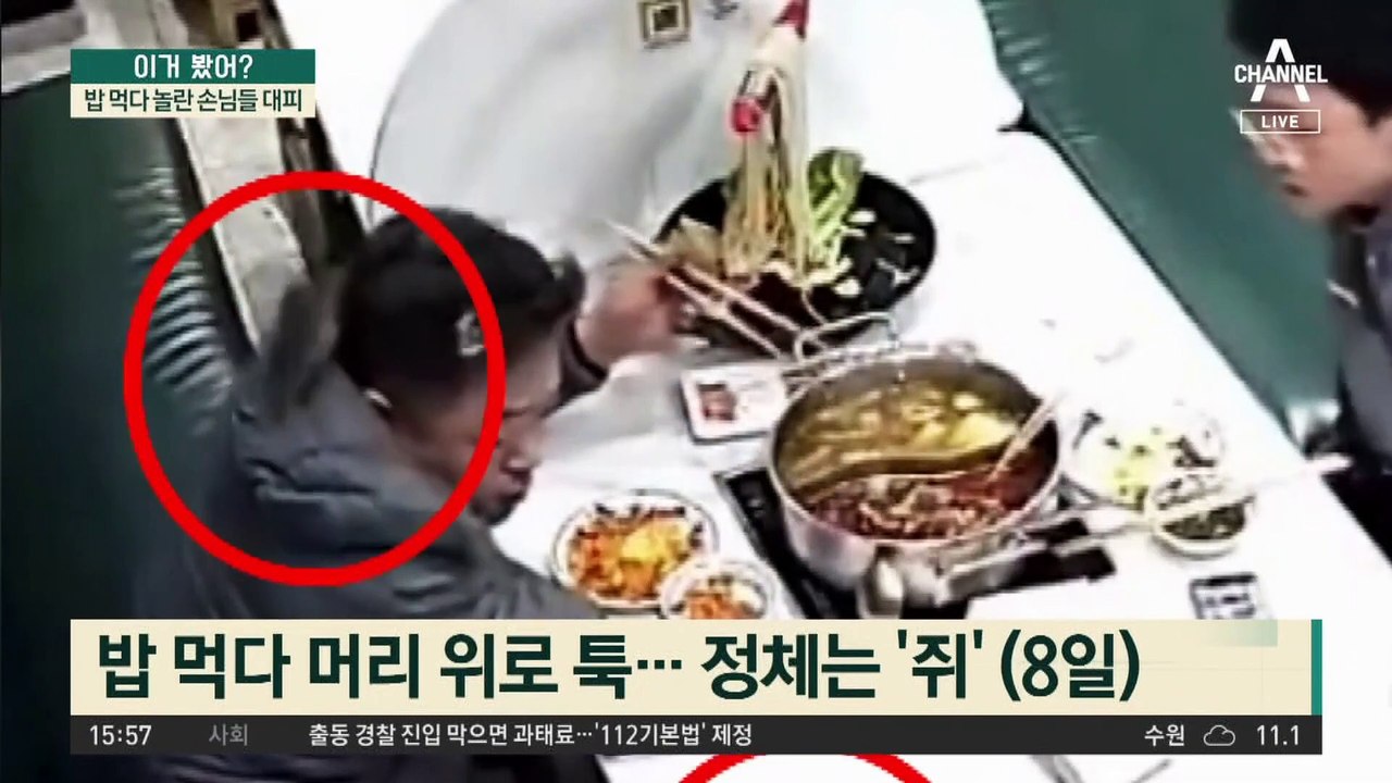 中 식당 천장에서 떨어진 쥐…밥 먹다 놀란 손님들 대피
