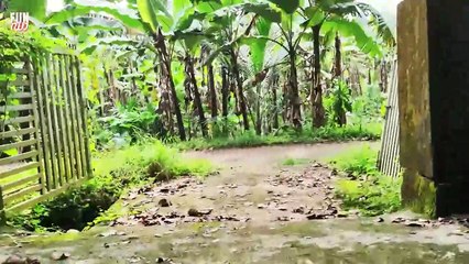 വിചാരണ ⚖ PART 1 _VICHAARANA _Fun Da _Malayalam Comedy _