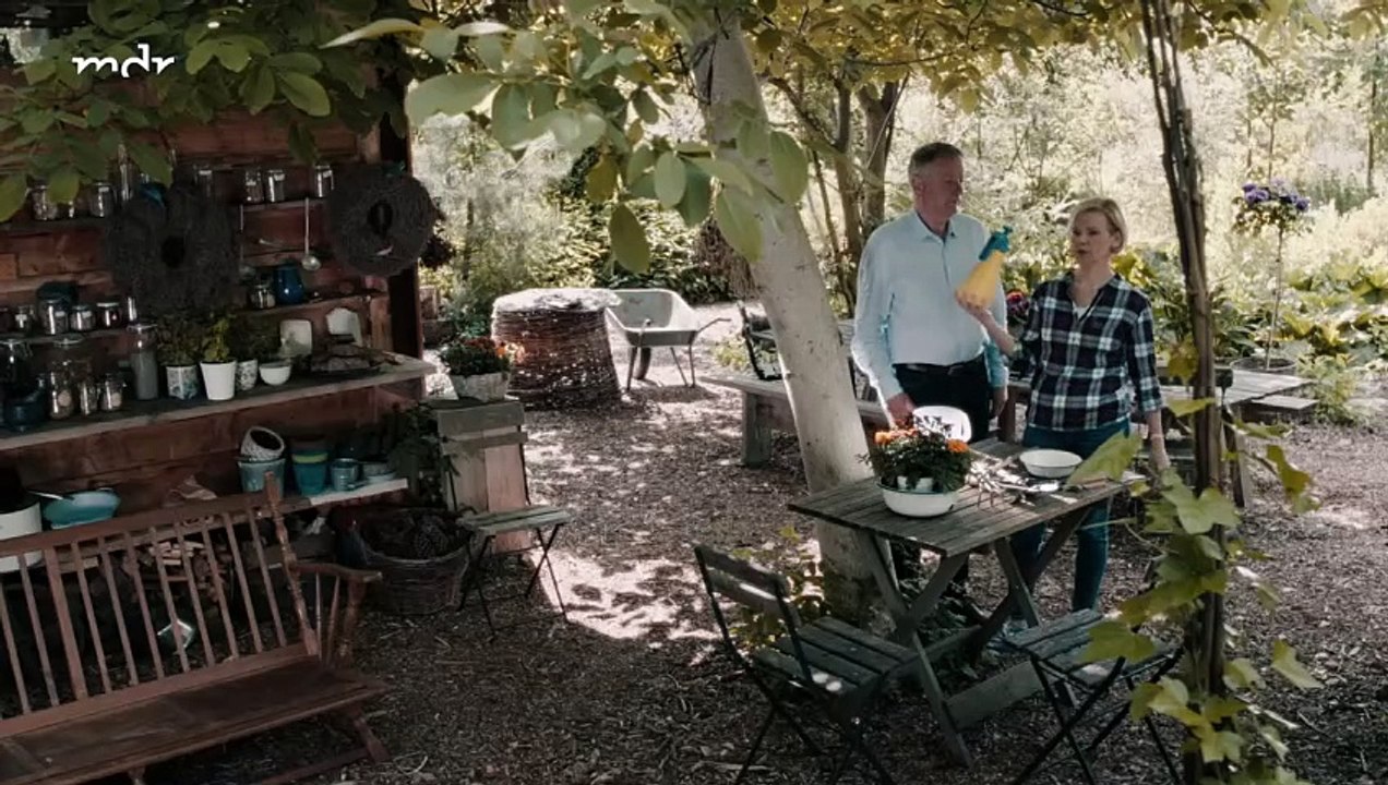 In aller Freundschaft: Zwischen allen Stühlen | Folge 1036