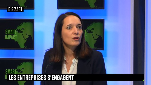 SMART IMPACT - Quels programmes engagés pour les groupes ?