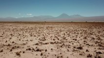 Le désert d'Atacama regorge de lagunes cristallines peuplées de bactéries