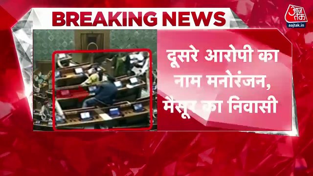 Two people who jumped into Parliament have been identified