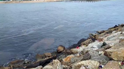 VIDEO: निर्धारित मानदंडों के खिलाफ तेल युक्त पानी या प्रदूषित पानी छोडा तो उद्योग का संचालन निलंबित