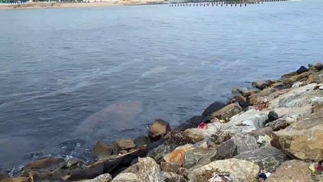 VIDEO: निर्धारित मानदंडों के खिलाफ तेल युक्त पानी या प्रदूषित पानी छोडा तो उद्योग का संचालन निलंबित