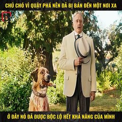 Review Phim Tiếng gọi nơi hoang dã