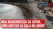 Mga mangingisda sa Japan, kinilabutan sa dala ng anod!  | GMA Integrated Newsfeed