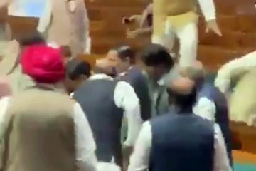 Video: लोकसभा में कूद शख्स को सांसदों जमकर कूटा, देखें 14 सेकेंड का वीडियो