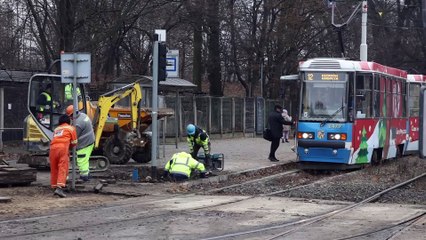 Aleja Wielkiej Wyspy - Popularna Ulica