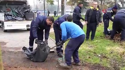 Şiddetli lodosta yıkılan ağaçların yerine yenileri dikiliyor
