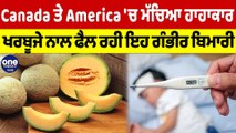 Canada ਤੇ America 'ਚ ਮੱਚਿਆ ਹਾਹਾਕਾਰ, ਖਰਬੂਜੇ ਨਾਲ ਫੈਲ ਰਹੀ ਇਹ ਗੰਭੀਰ ਬਿਮਾਰੀ |OneIndia Punjabi