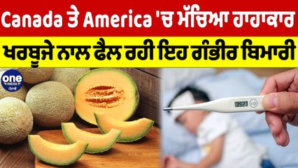 Canada ਤੇ America 'ਚ ਮੱਚਿਆ ਹਾਹਾਕਾਰ, ਖਰਬੂਜੇ ਨਾਲ ਫੈਲ ਰਹੀ ਇਹ ਗੰਭੀਰ ਬਿਮਾਰੀ |OneIndia Punjabi