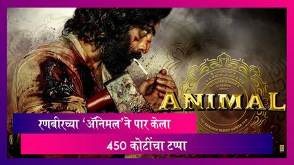 Animal Box Office Collection: रणबीरच्या 'अ‍ॅनिमल'ने पार केला 450 कोटींचा टप्पा