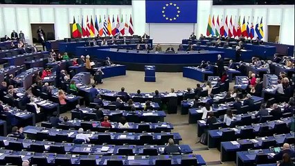 Un perro ladra en el Parlamento Europeo ante la presencia de Pedro Sánchez