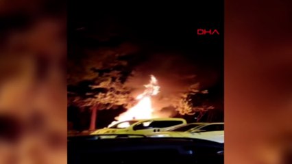 Eski koltuk ateşe verildi, alevler parktaki ağaca sıçradı