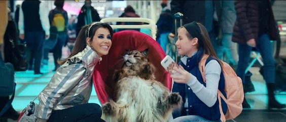 CHIEN ET CHAT Film Bande-Annonce