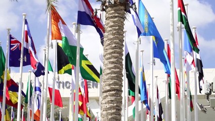 La cumbre del clima llega a un acuerdo de transición para "abandonar" los combustibles fósiles