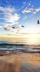 ارح سمعك بالقران