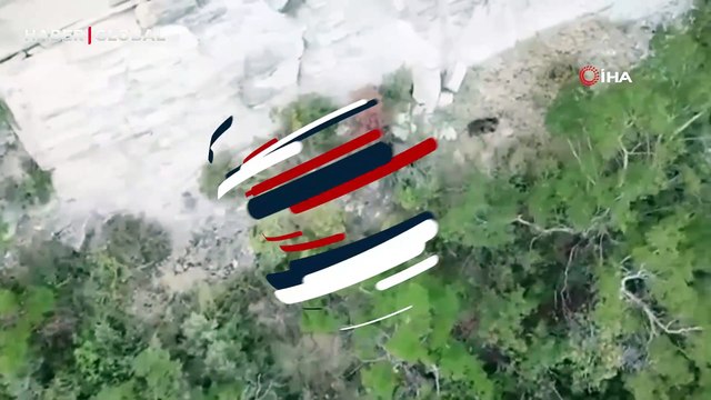 Yer Zonguldak: Kış uykusuna yatamayan ayı ormanın içerisinde bu halde görüldü