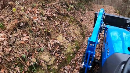 Exciting Buck Hunt! 🎯 My Little Brother's First Deer on Our Ohio Farm
