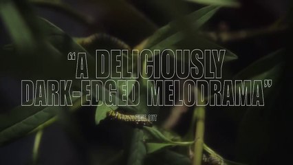 Bir Skandalın Peşinde Fragman