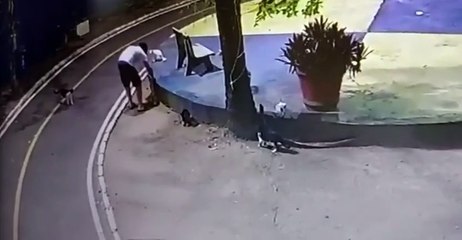 Homem que aparece em vídeos matando gatos  é condenado; juiz aumentou pena