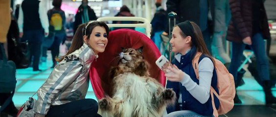Chien et Chat Bande-annonce VF