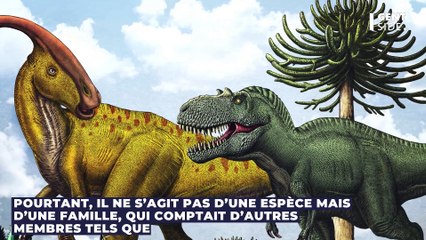 Le dernier repas d’un tyrannosaure découvert dans son estomac