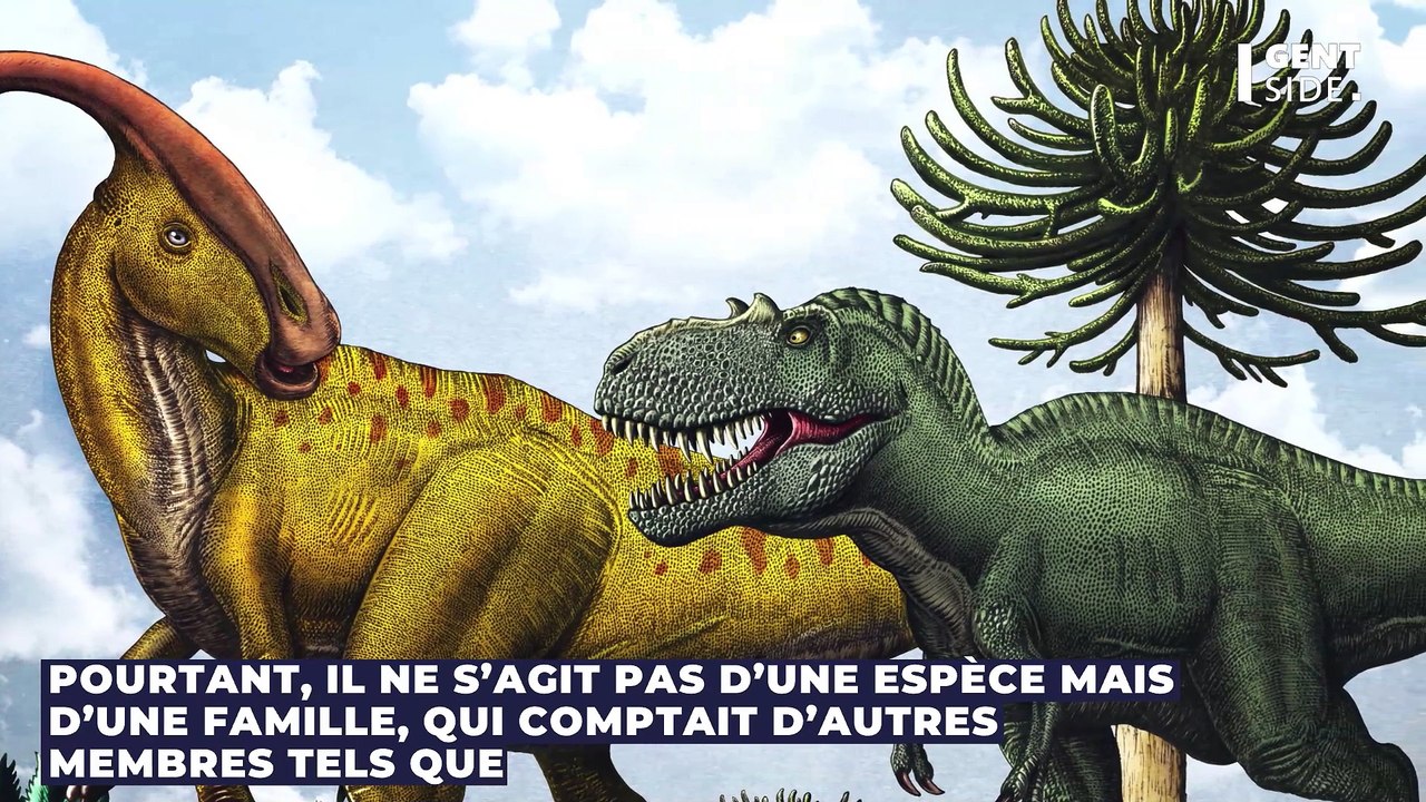Le dernier repas d’un tyrannosaure découvert dans son estomac