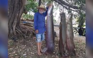 Pirarucu é pescado em açude da zona rural de Coremas e pesa mais de 100 quilos