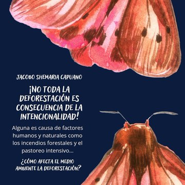 -Jacobo Shemaria Capuano- ¿La solución más rápida a la deforestación es? (Parte 2) (Creado por @JacoboShemariaCapuano)