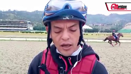 Hipismo: Johan Aranguren, Jinete Profesional.