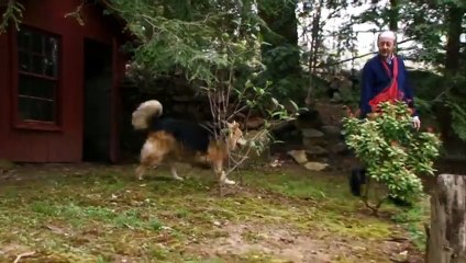 My Dog: An Unconditional Love Story | movie | 2009 | Official Trailer