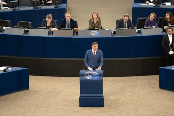 El ladrido de un perro se cuela en el Parlamento Europeo