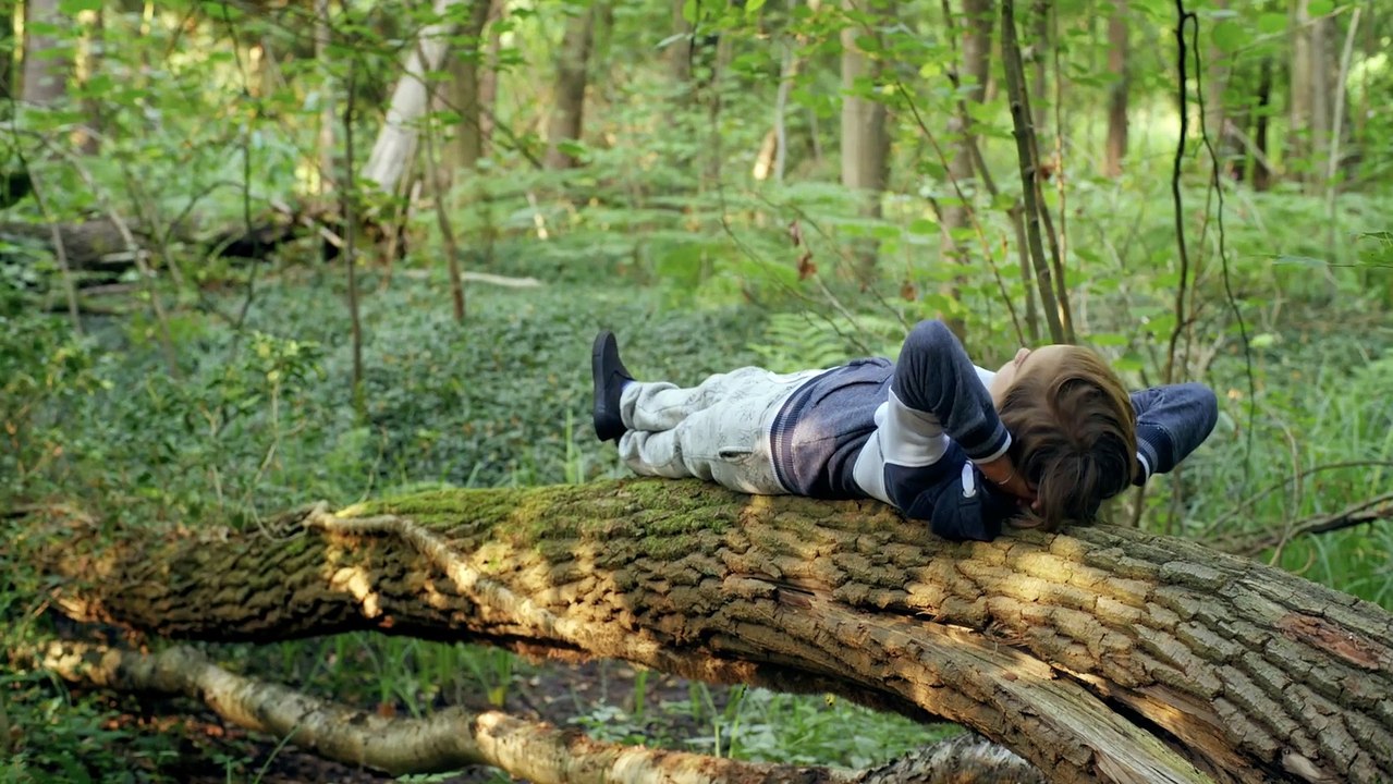 Sterne über uns | movie | 2019 | Official Trailer