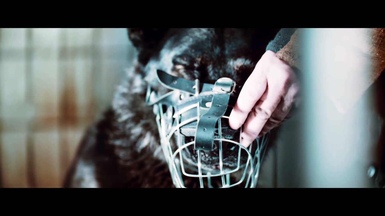 Die Rüden | movie | 2020 | Official Trailer