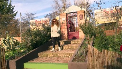 Sofía Cristo lanza un dardo a su hermano: "Los animales son fieles, no te traicionan"