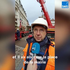 Un chêne écarlate de 12 mètres replanté au milieu de la cour de la mairie d'Auxerre