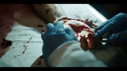 Envol vers les 8000 | show | 2017 | Official Trailer