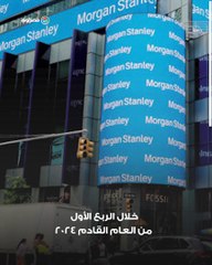 مورجان ستانلي يتوقع ارتفاع سعر الدولار إلى هذا المستوى بمصر خلال 3 أشهر