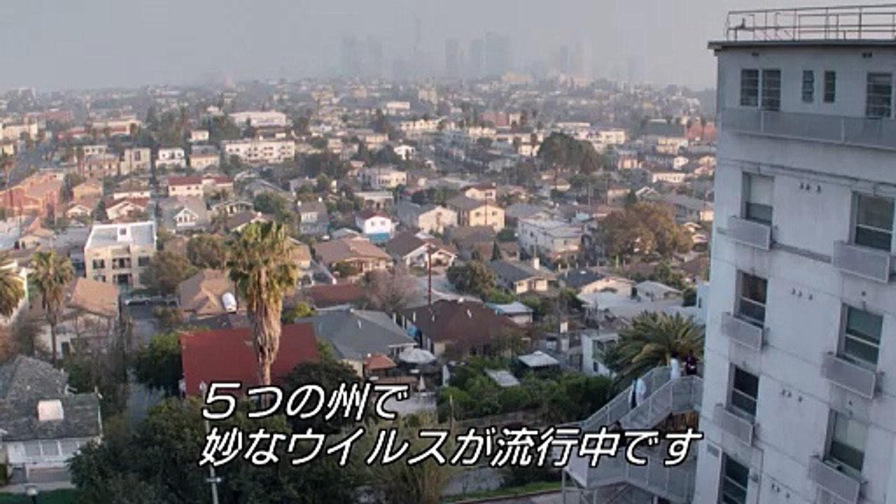 Harold Lloyd Comedy Collection: Harold's Hollywood - Then and Now | show | 2006 | Official Trailer