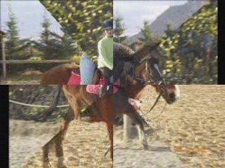 Montaj my dreams pony for sky