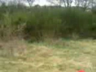 La ptite Buels ds la prairie