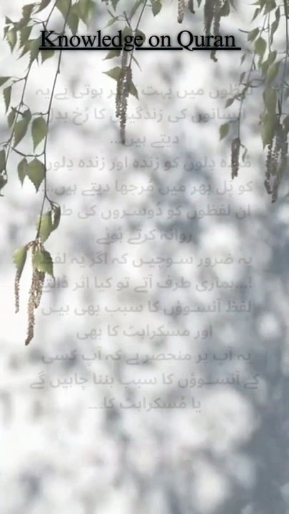 Words affect on your relations