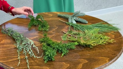 Eksperci Dobrego Życia o bożonarodzeniowej choince i świątecznych dekoracjach z roślin